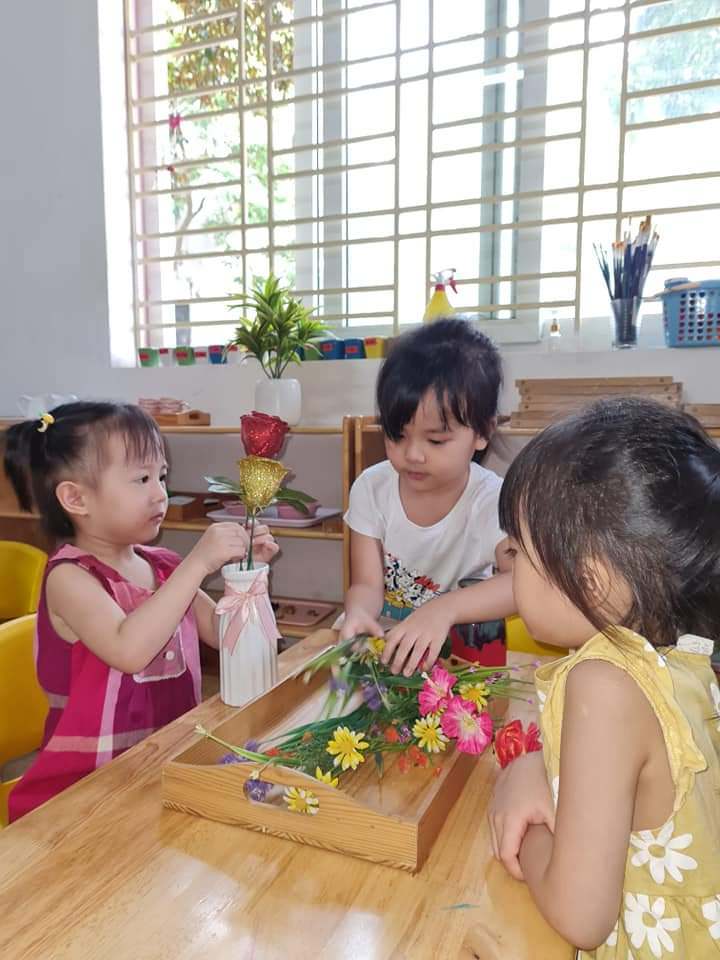 Chương trình học