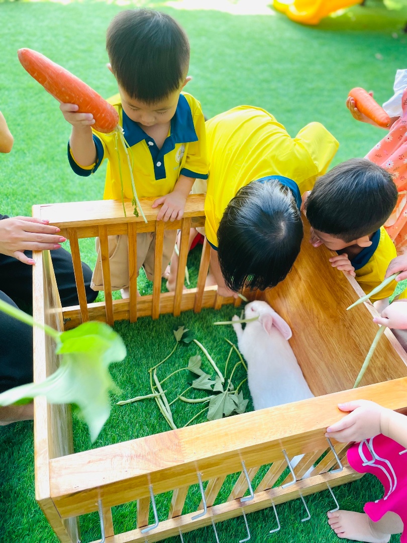 Chương trình học