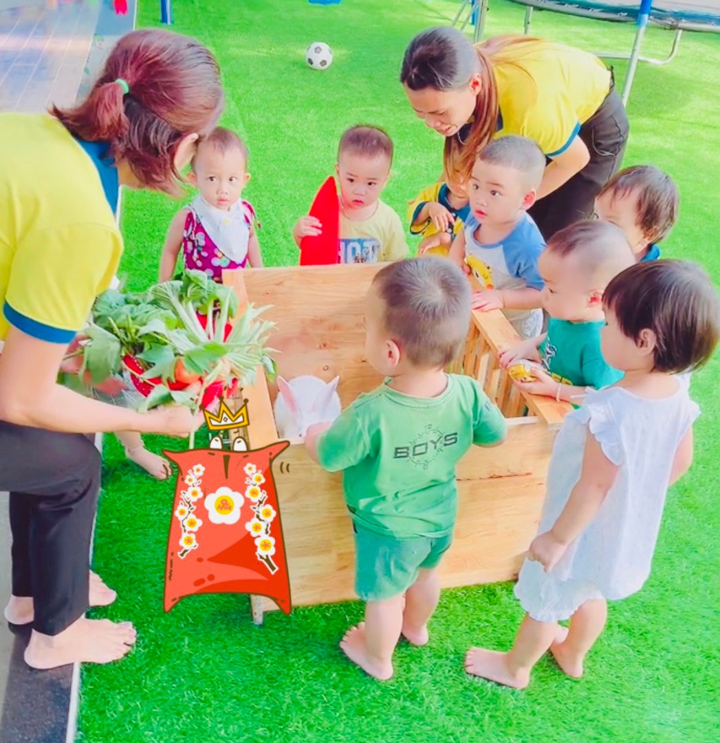 Chương trình học