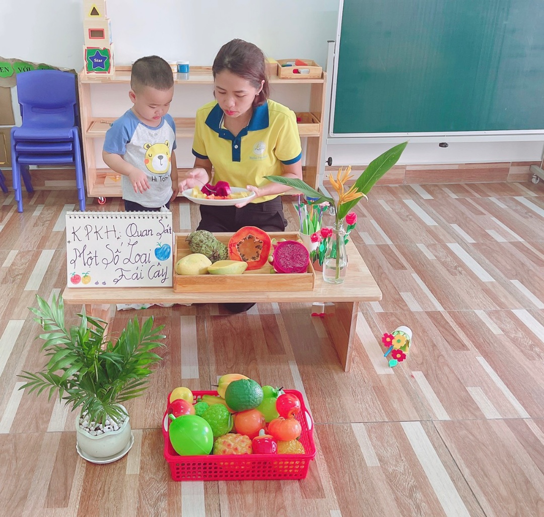 Chương trình học