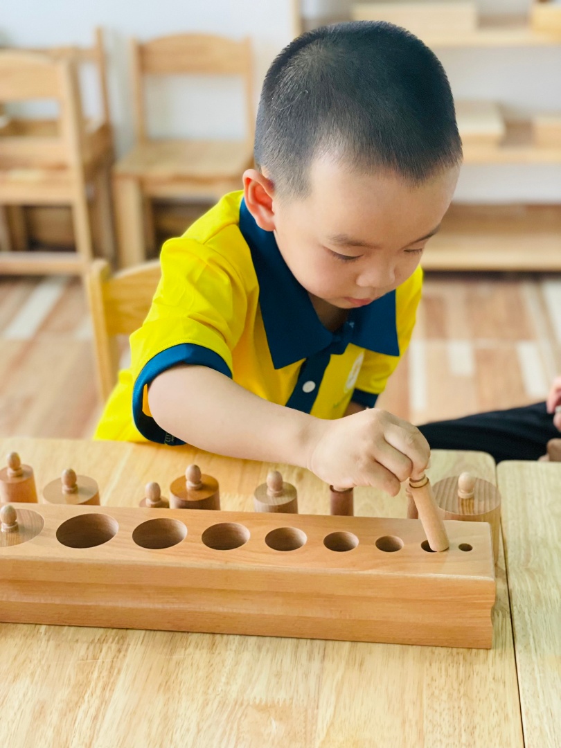 Chương trình học