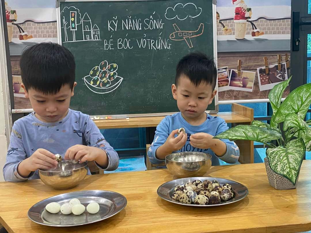 Chương trình học