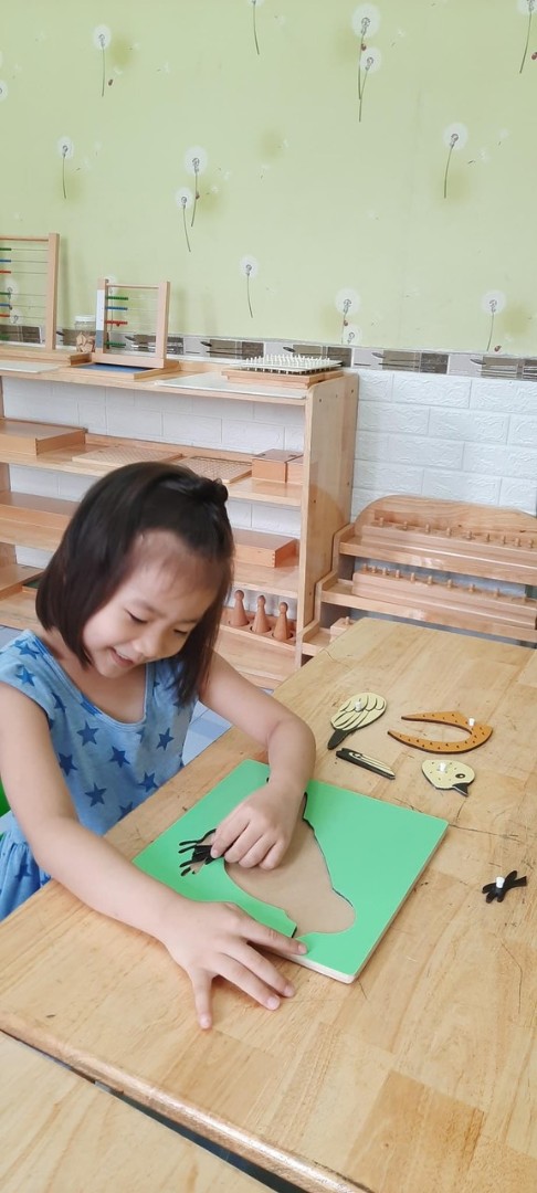 Chương trình học