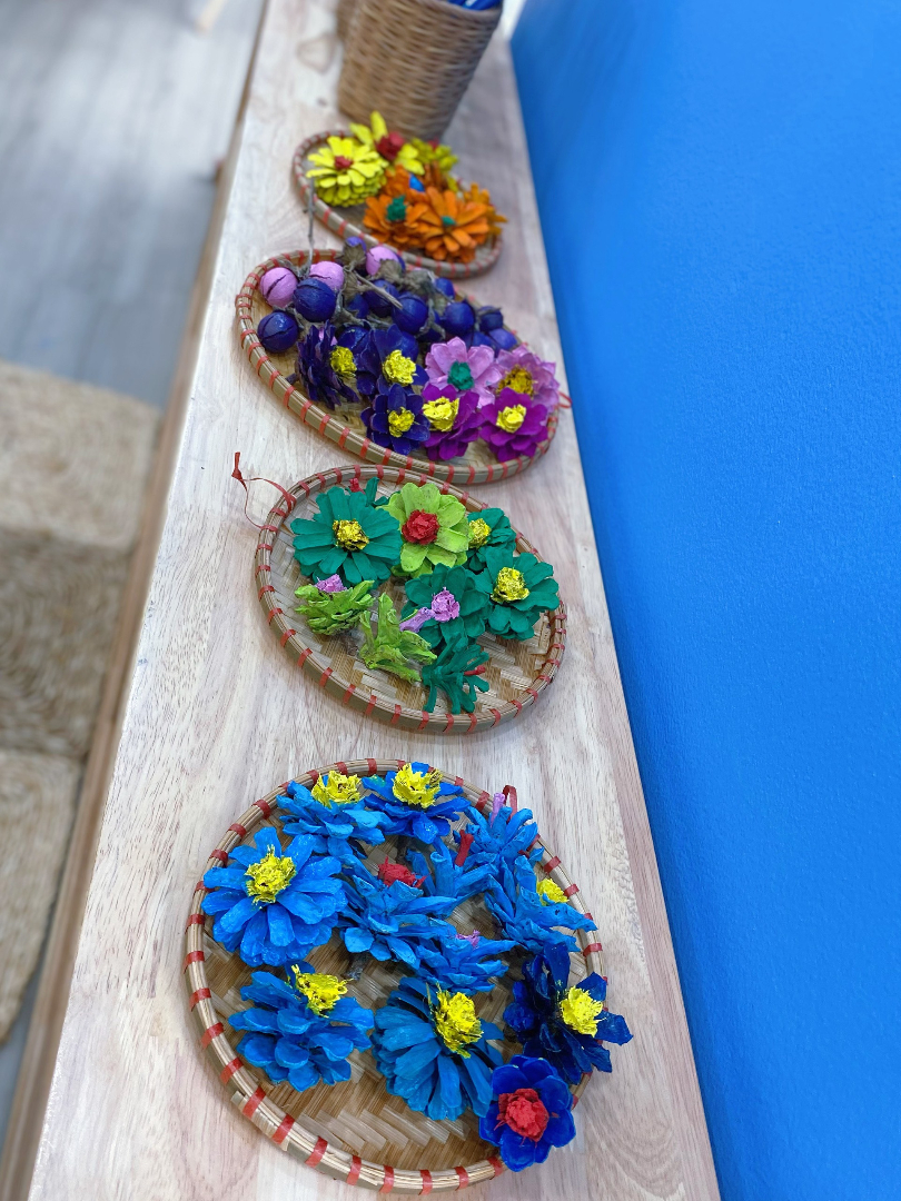 Chương trình học