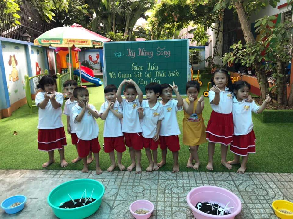 Chương trình học