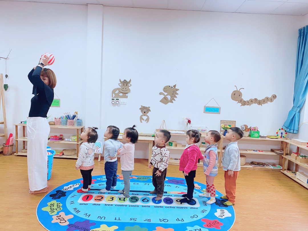 Chương trình học