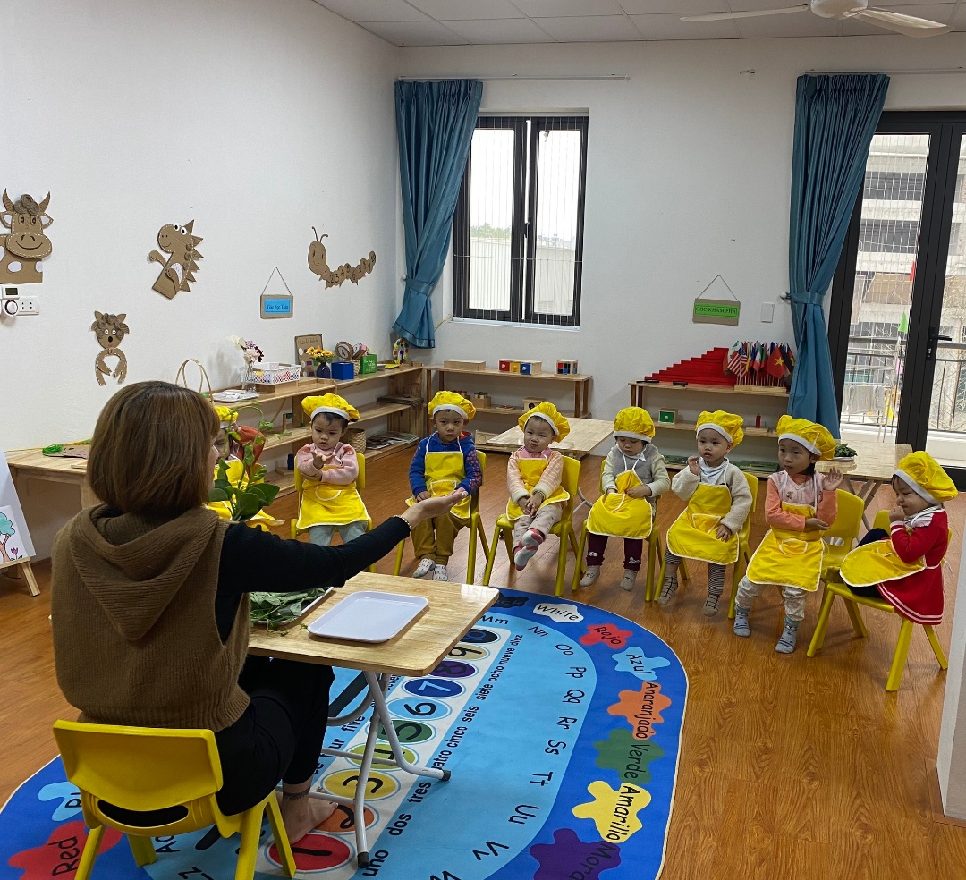 Chương trình học