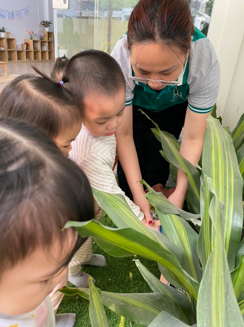 Chương trình học