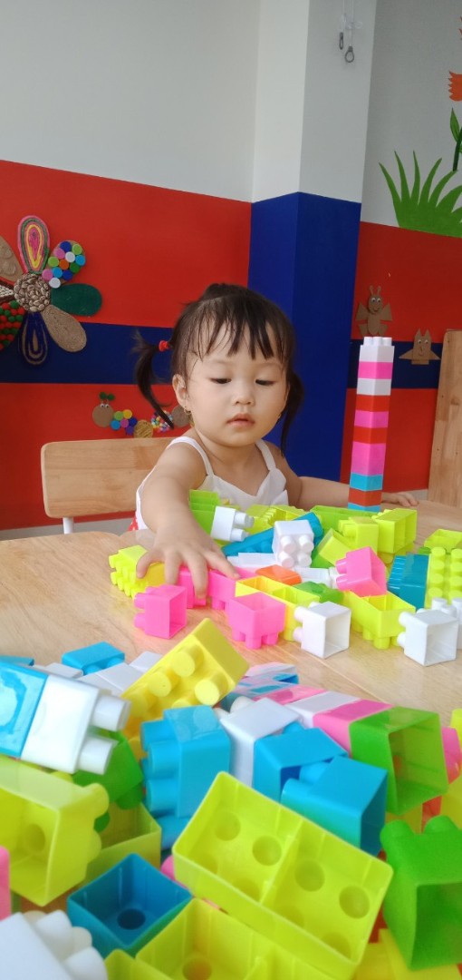 Chương trình học