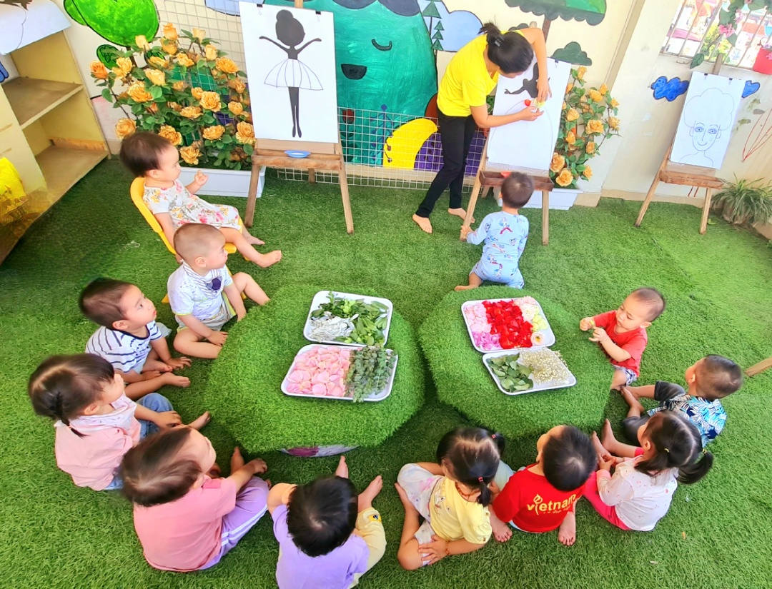 Chương trình học