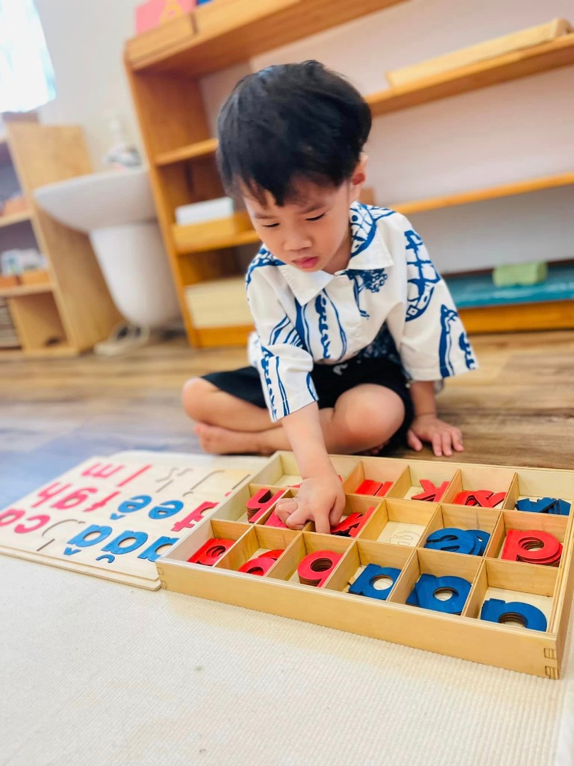 Chương trình học