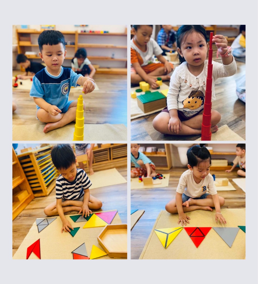 Chương trình học