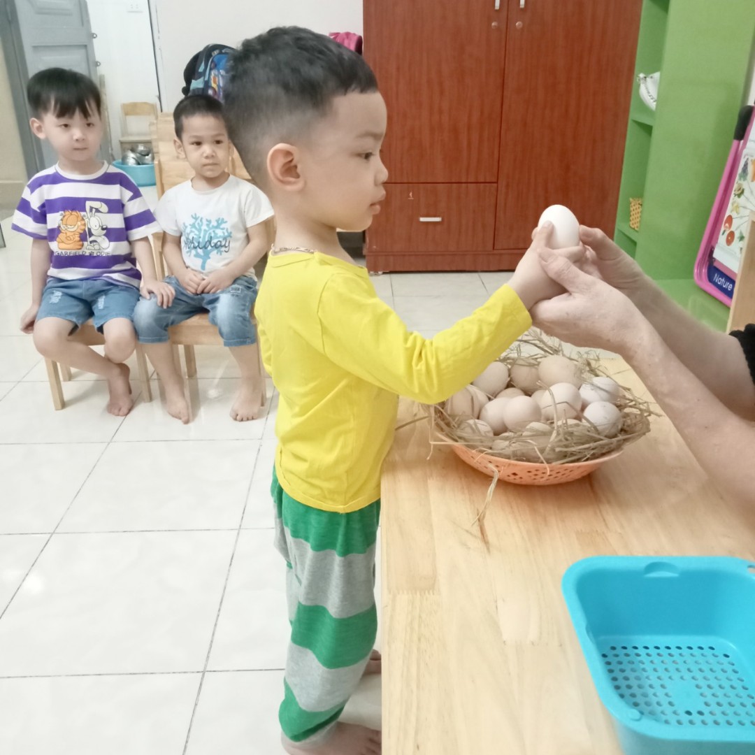 Chương trình học