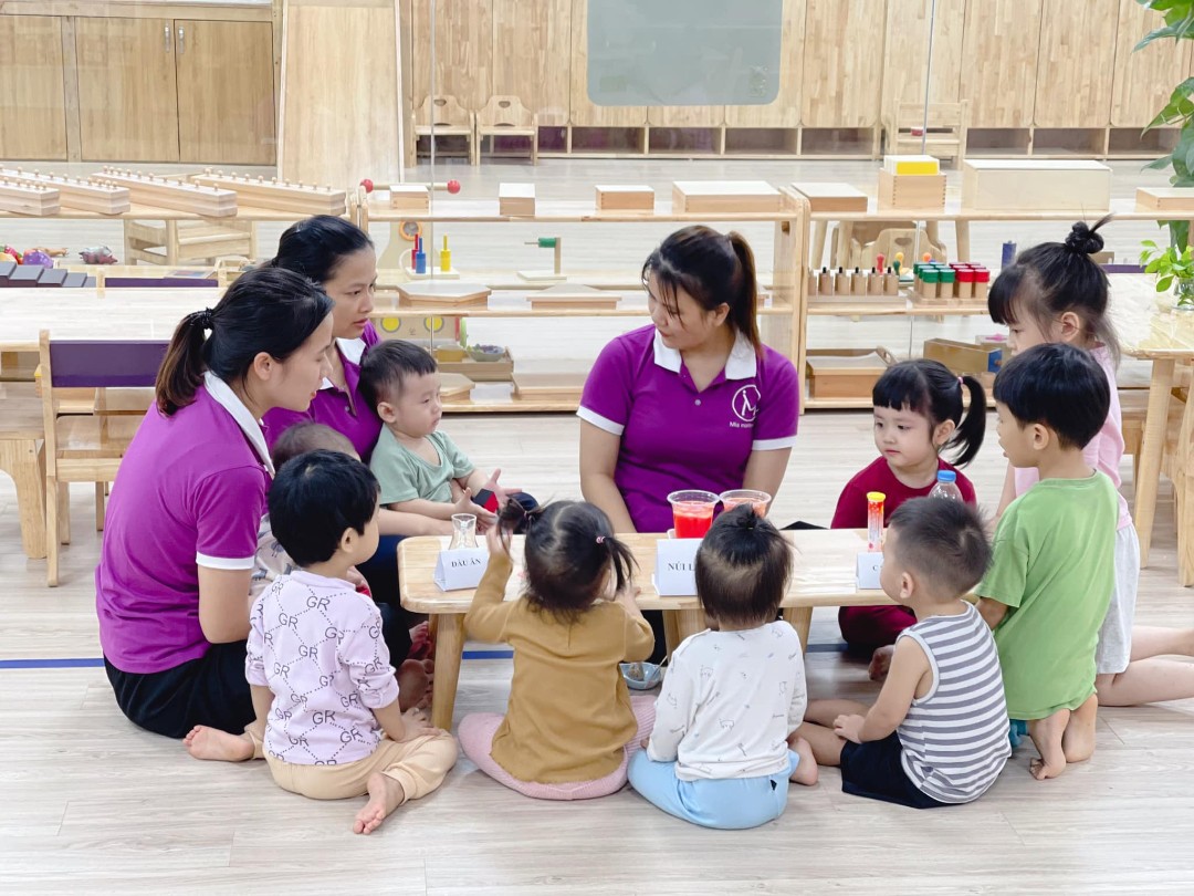 Chương trình học