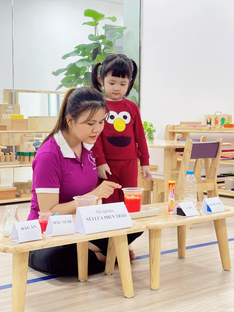 Chương trình học