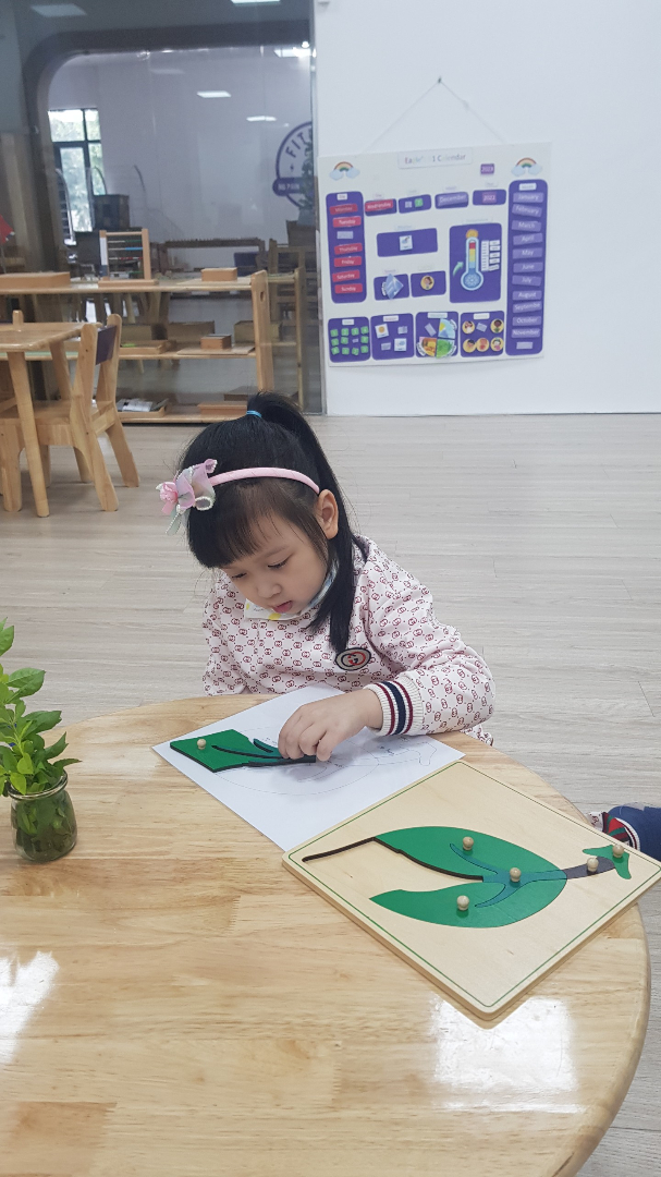 Chương trình học