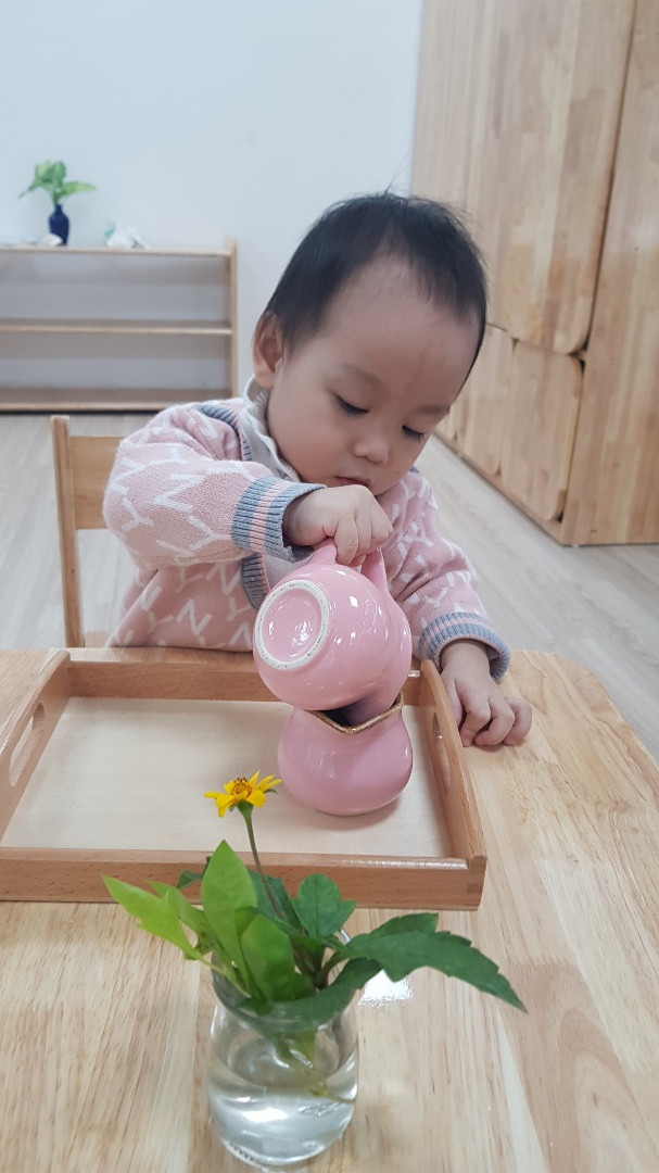 Chương trình học