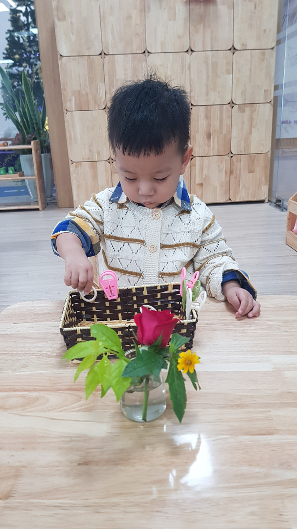 Chương trình học