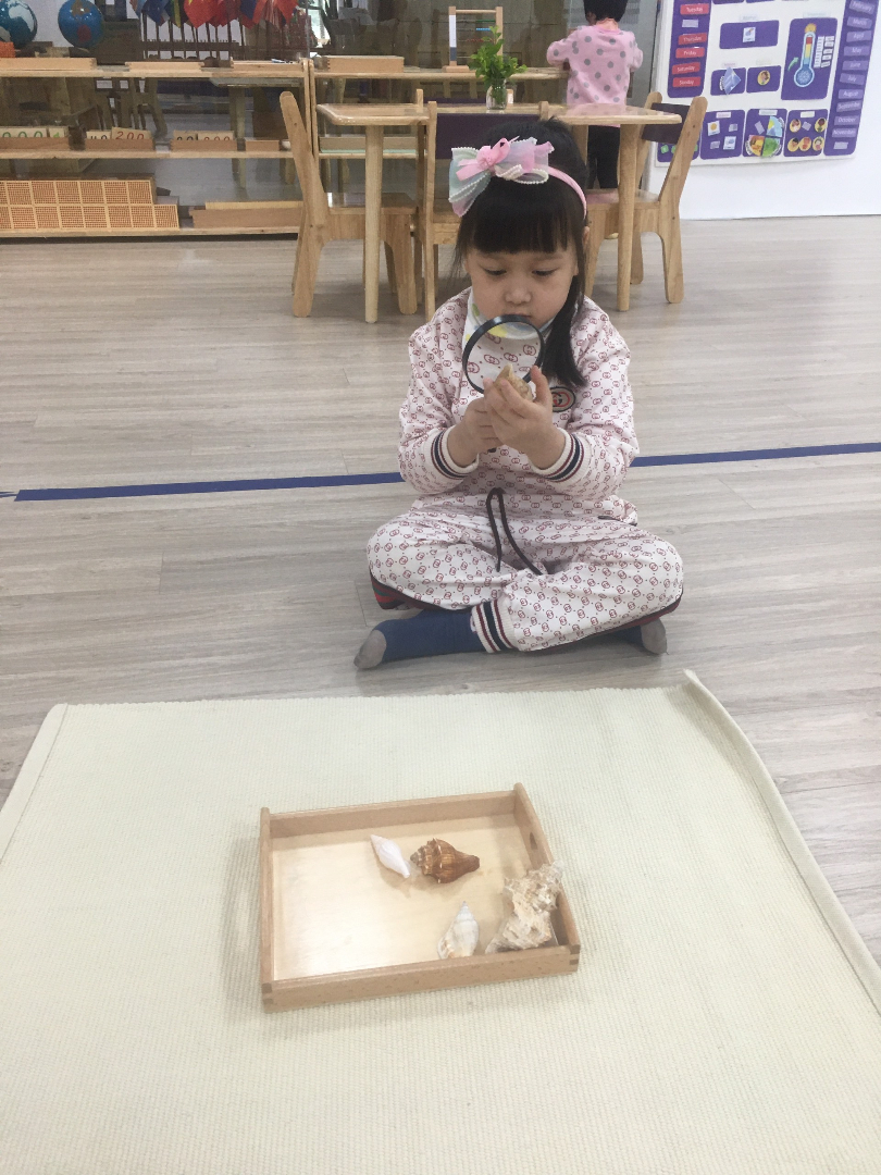 Chương trình học