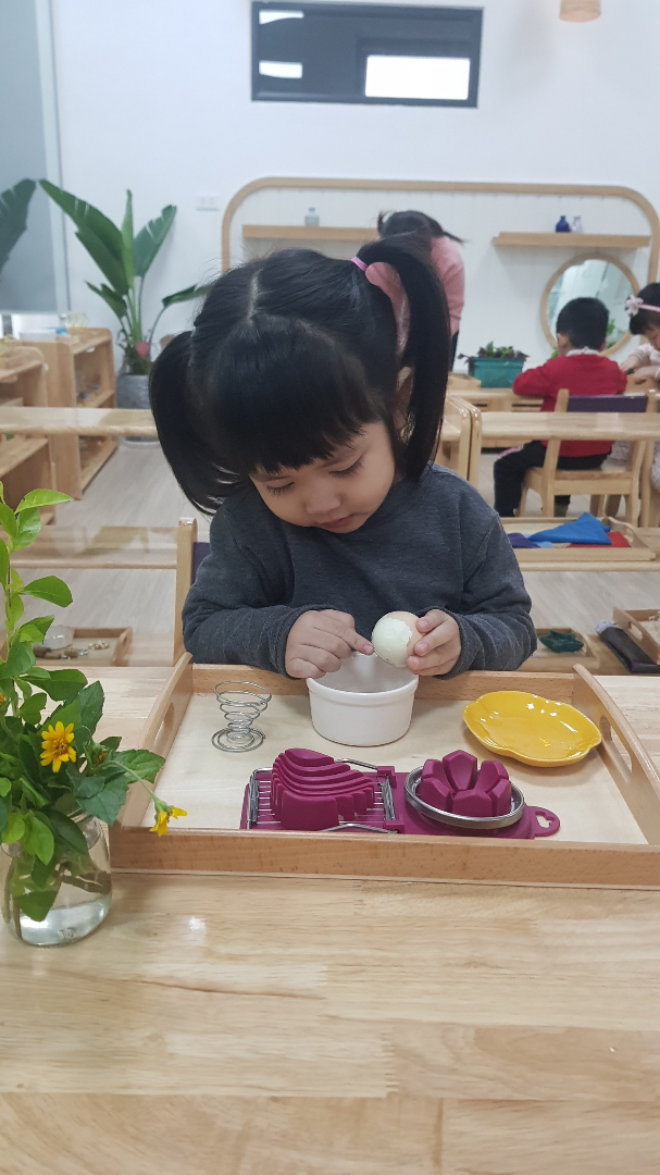 Chương trình học