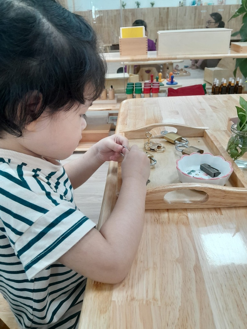 Chương trình học