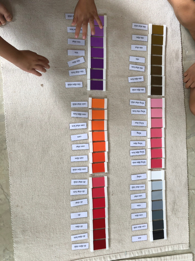 Chương trình học