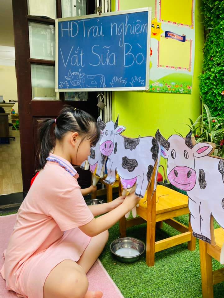 Chương trình học