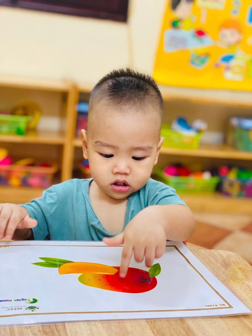 Chương trình học