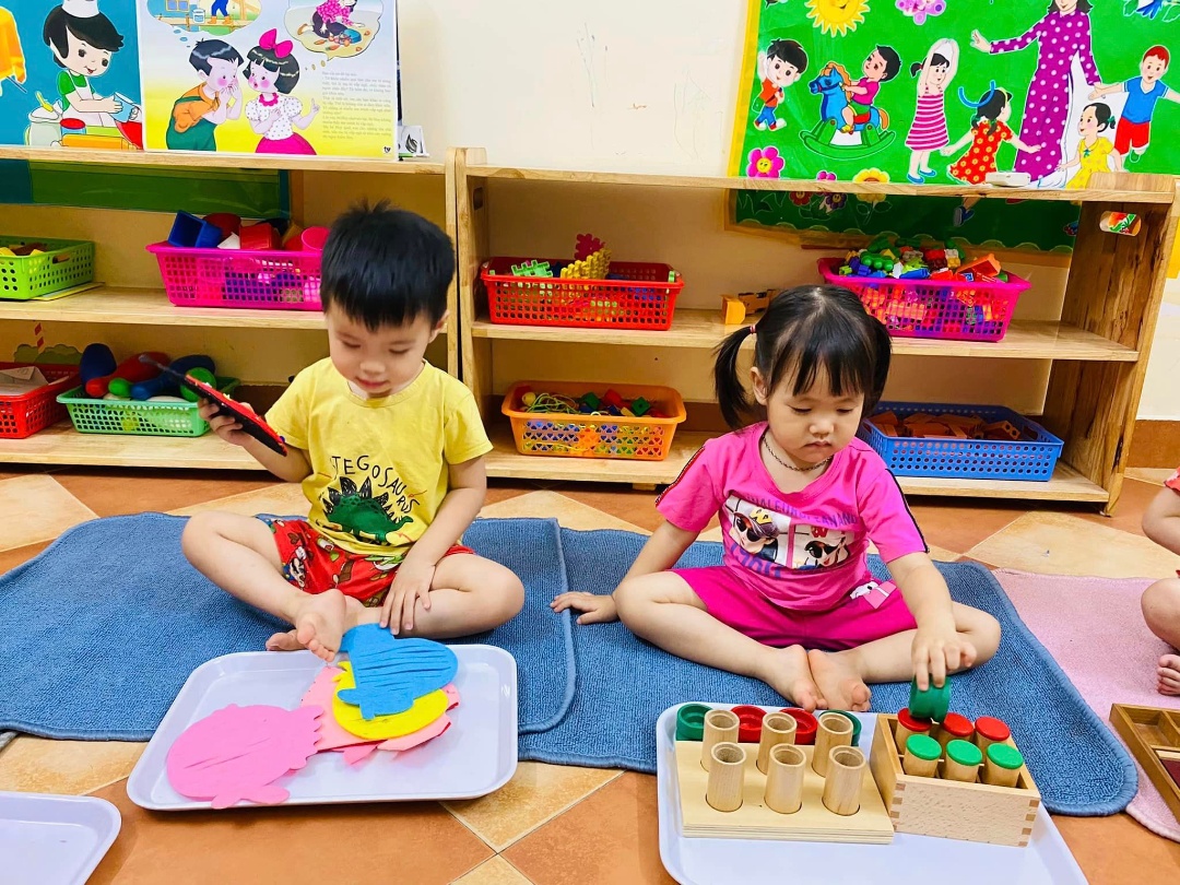 Chương trình học