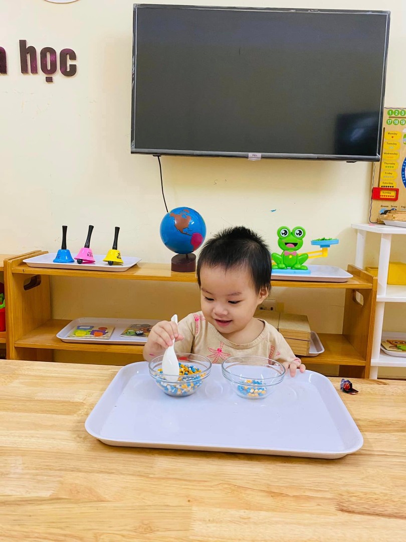 Chương trình học