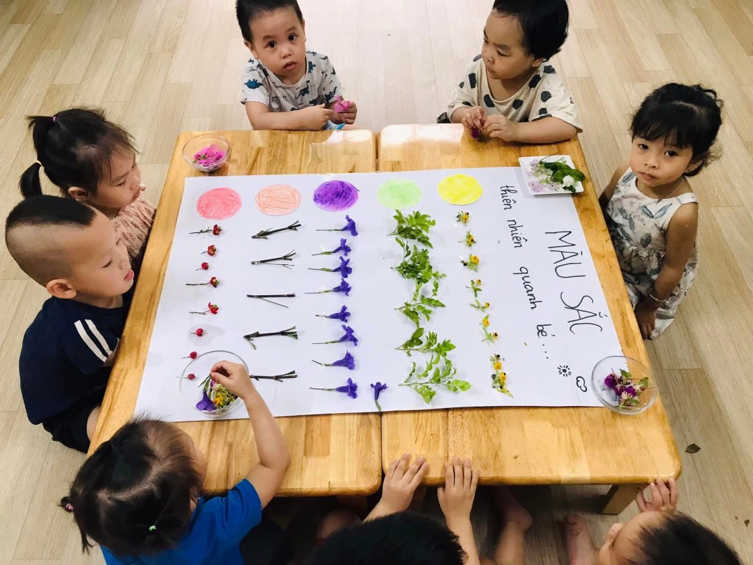 Chương trình học