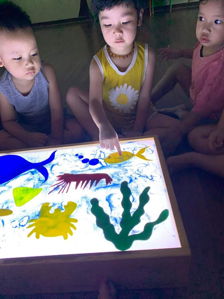 Chương trình học