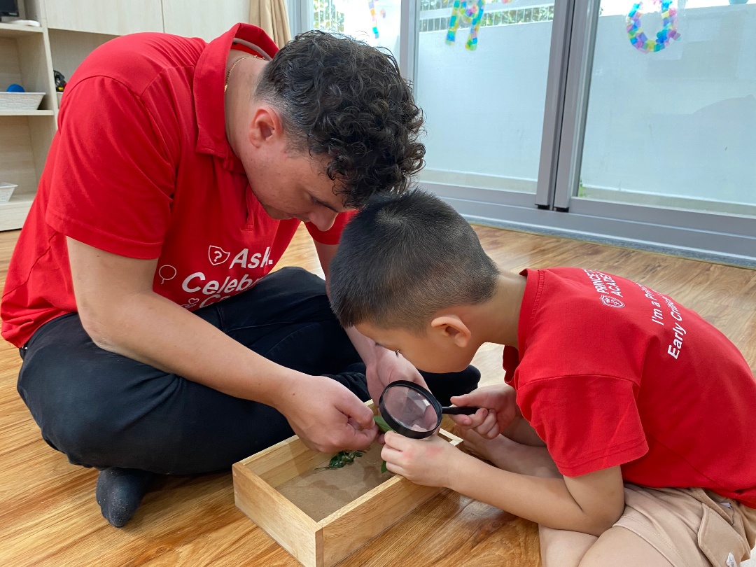 Chương trình học