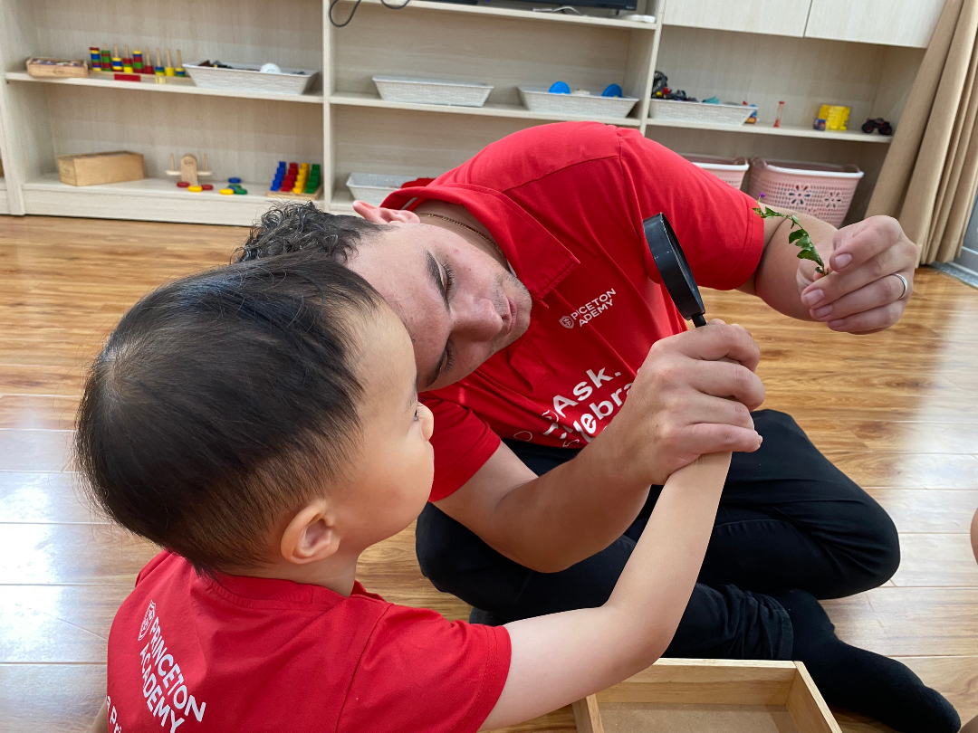 Chương trình học