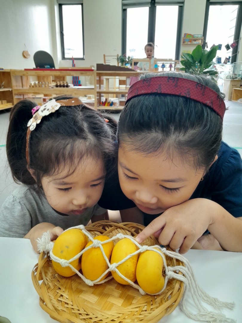 Chương trình học