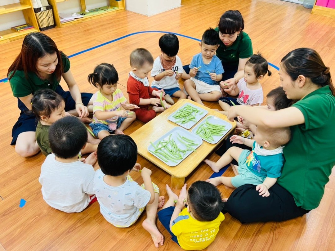 Chương trình học