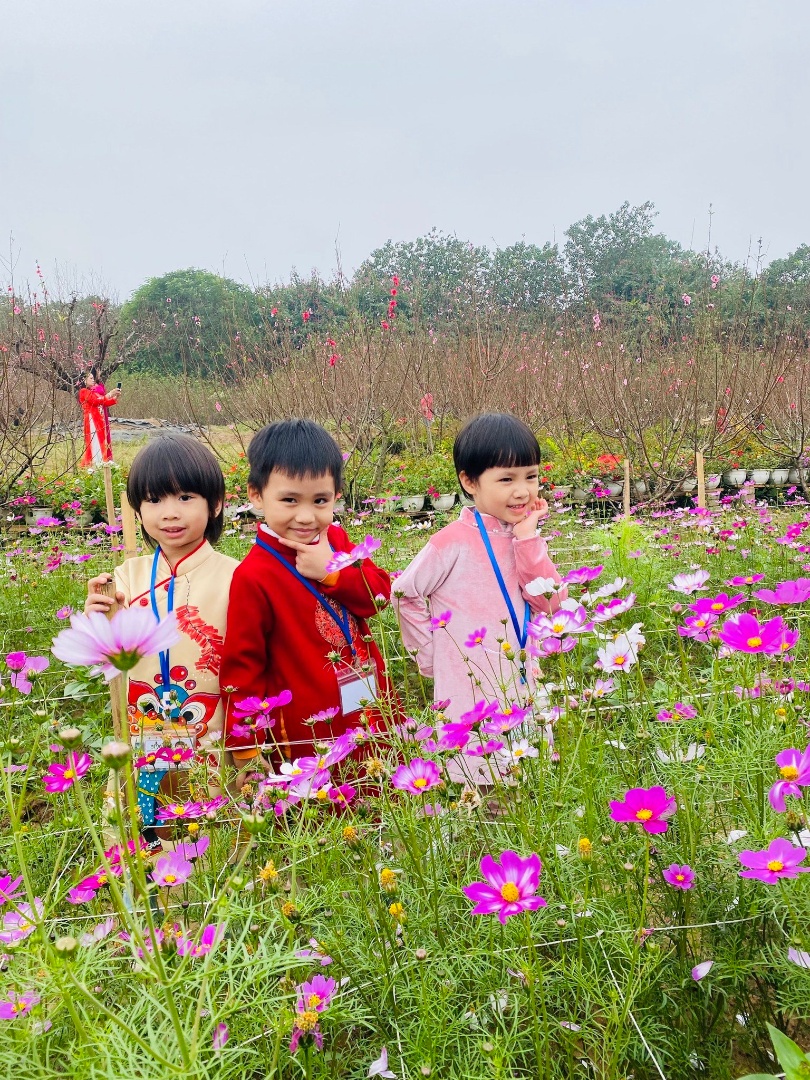 Chương trình học