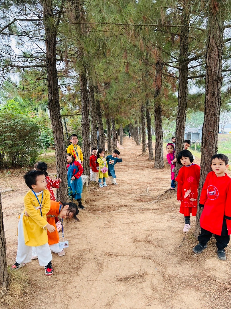 Chương trình học