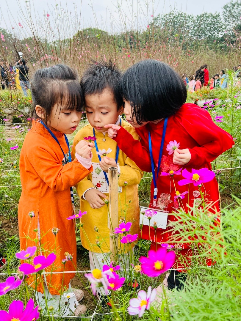 Chương trình học