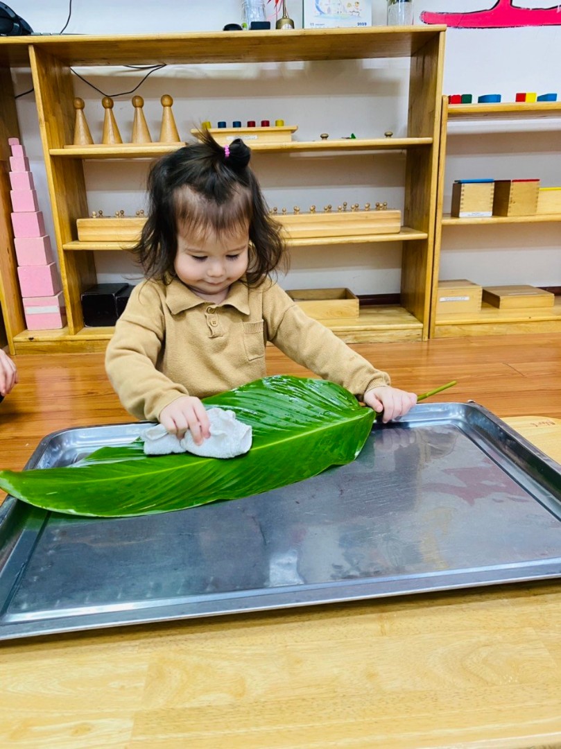 Chương trình học