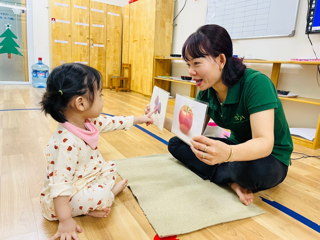 Chương trình học