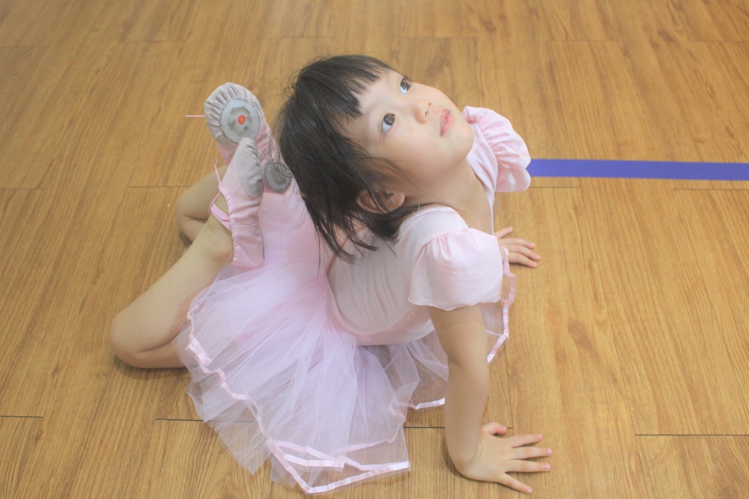 Chương trình học