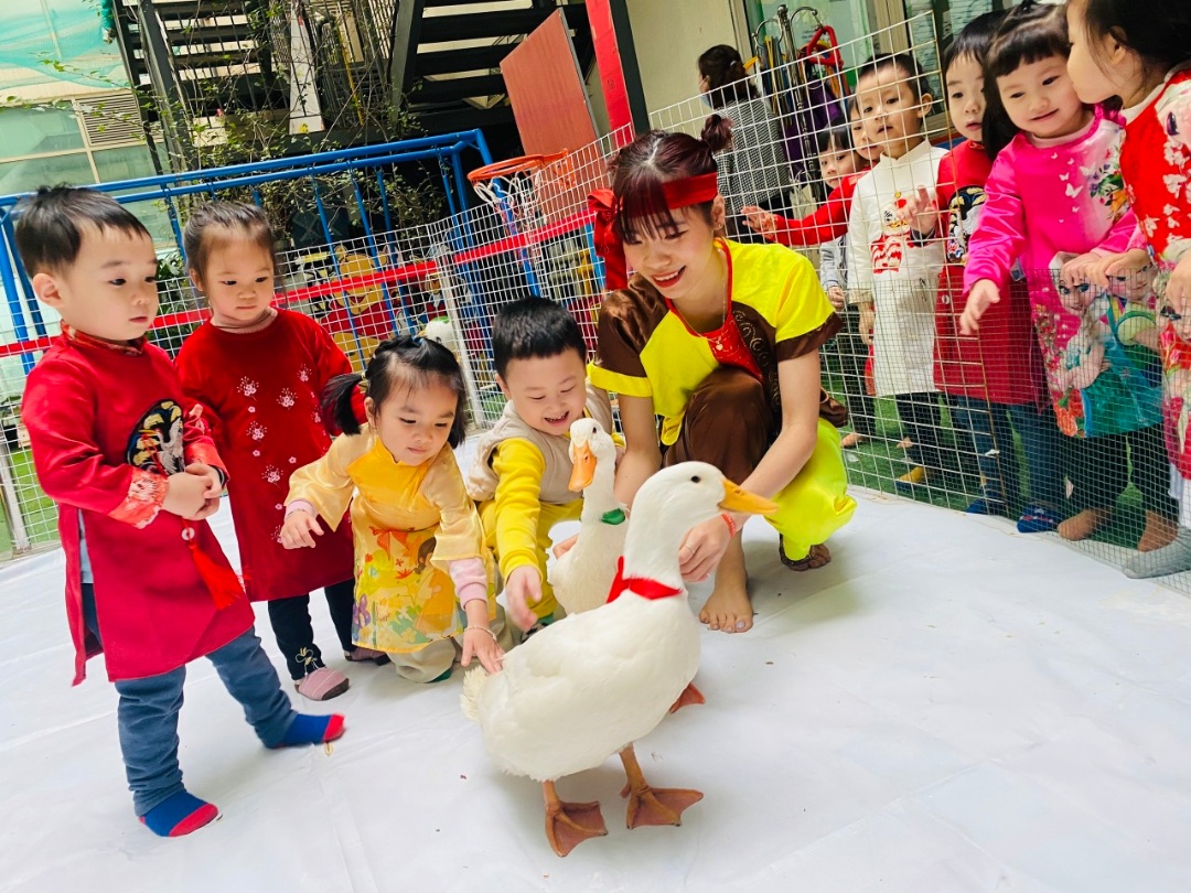 Chương trình học