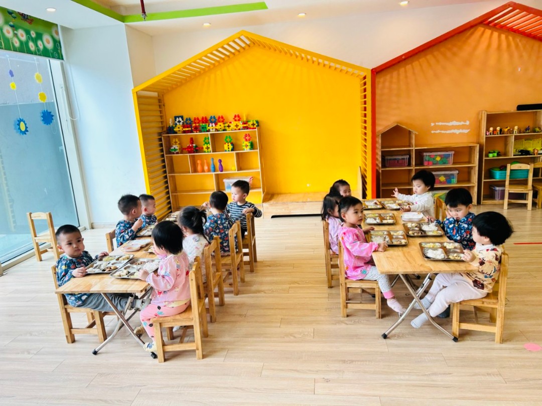 Chương trình học