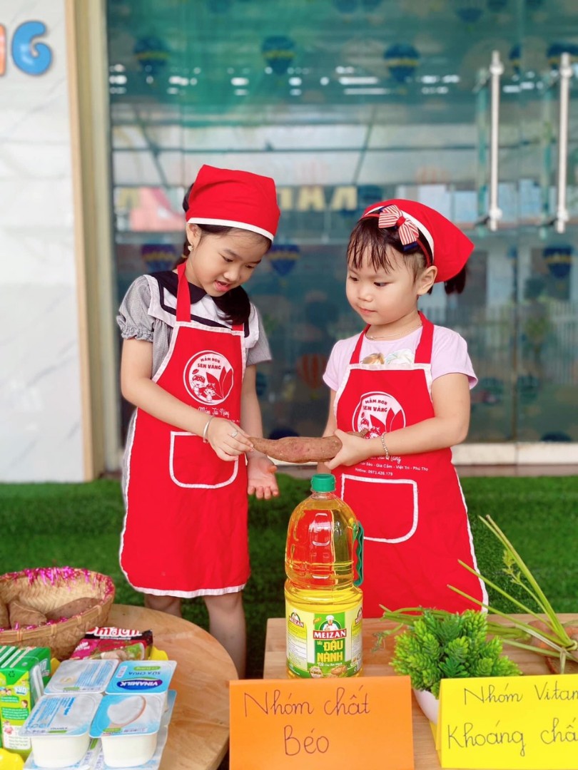 Chương trình học