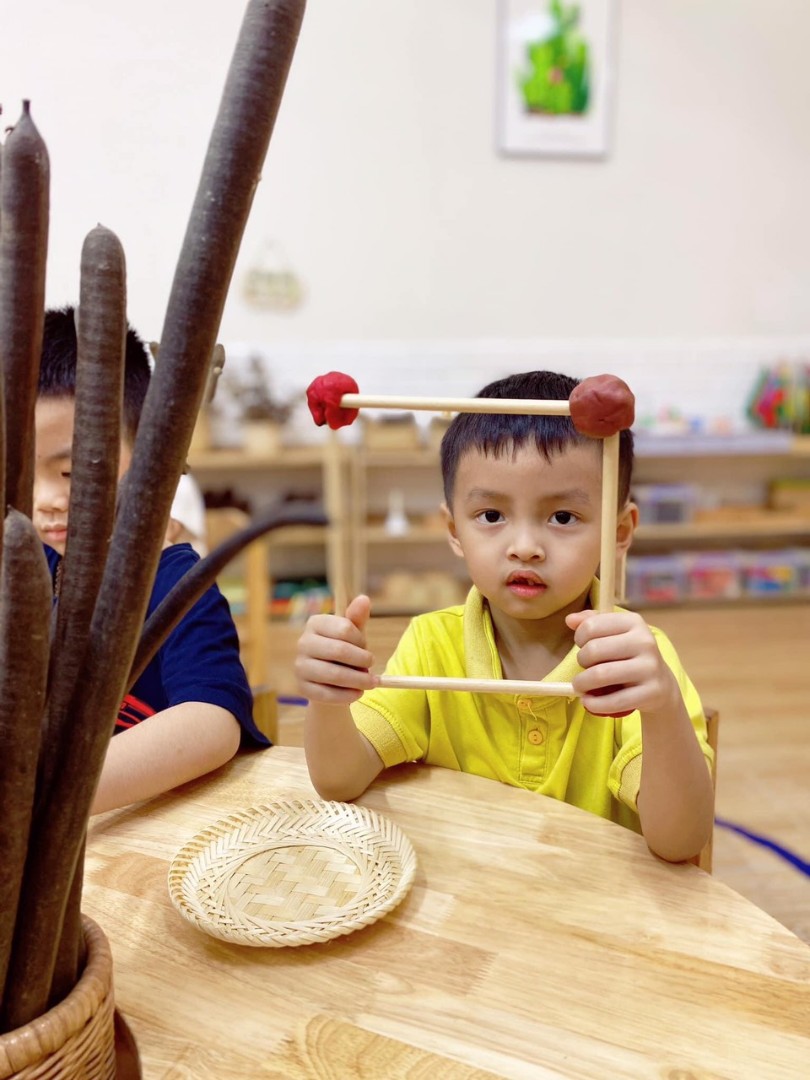 Chương trình học