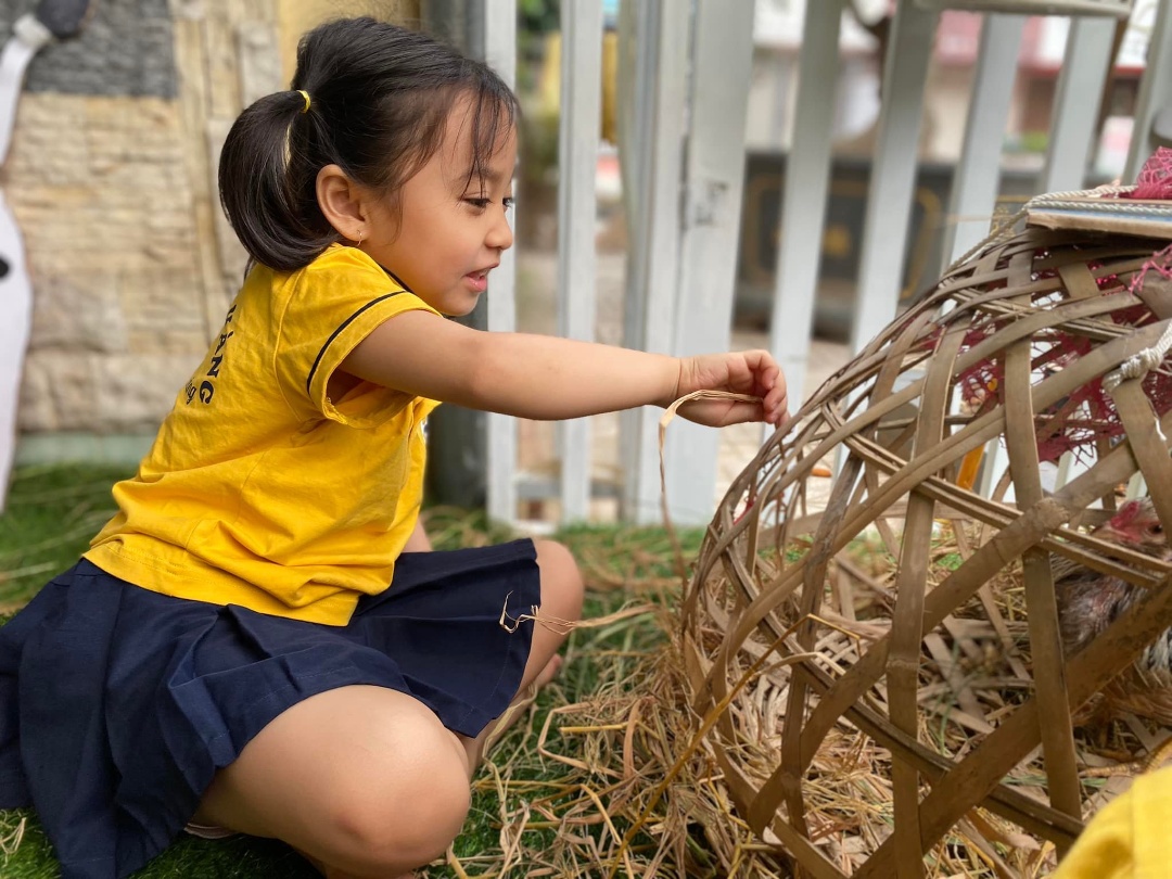 Chương trình học