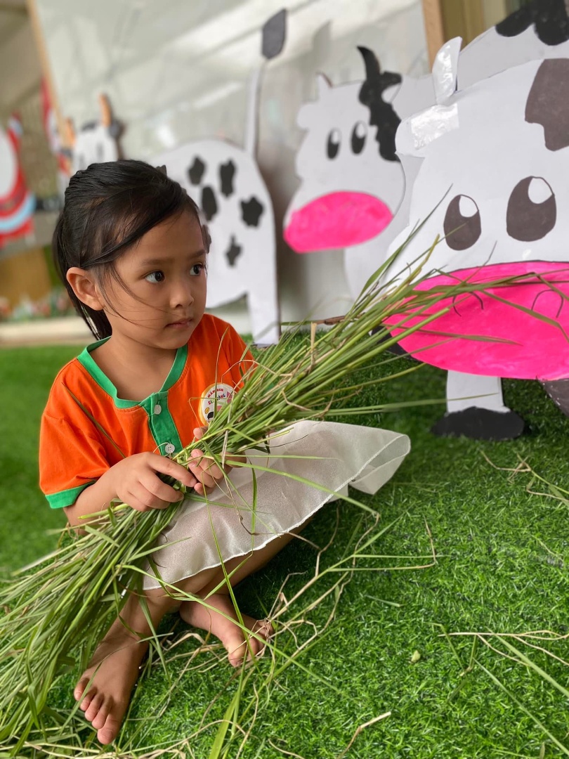 Chương trình học