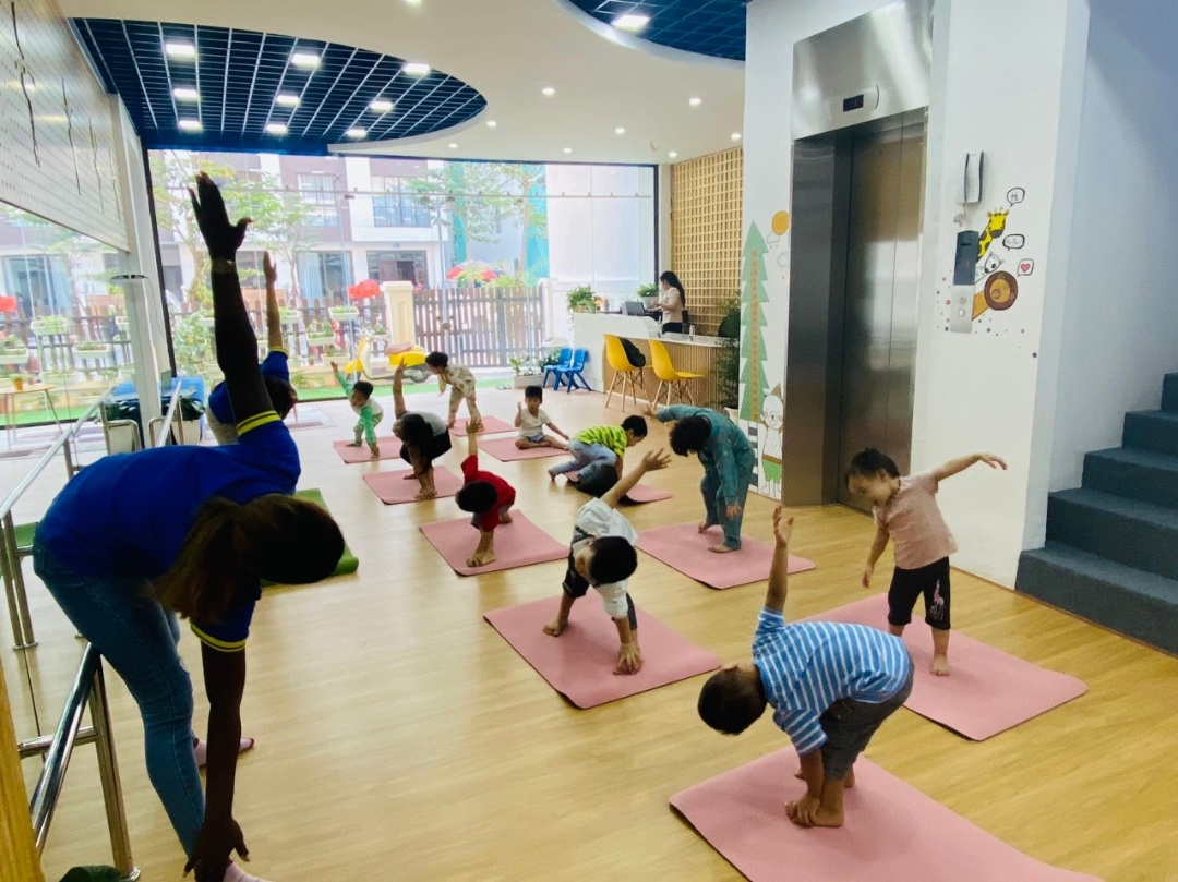 Chương trình học