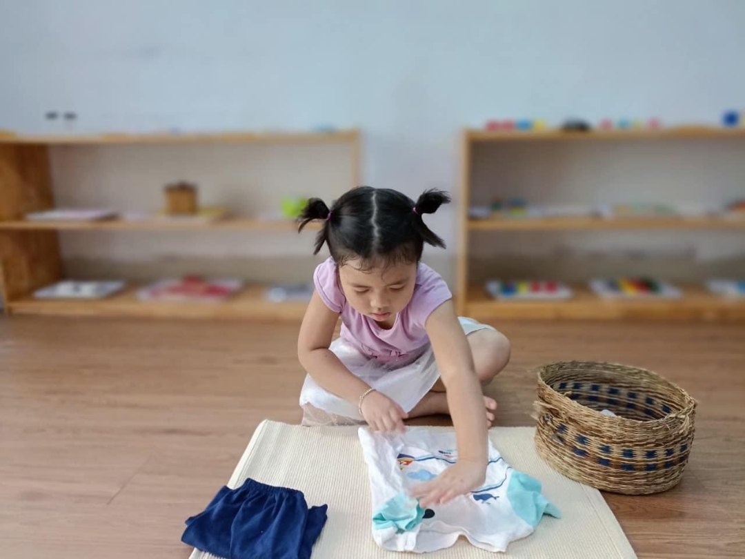 Chương trình học